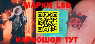 прущие грибы Чебаркуль
