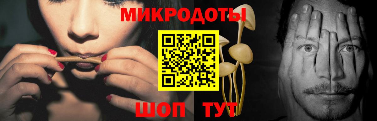 Псилоцибиновые грибы GOLDEN TEACHER  Галлюциногенные грибы Magic Shrooms  где можно купить наркотик  Вход с VPN  Кашира 